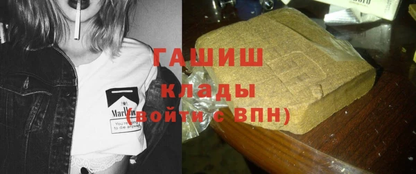 шишки Алзамай