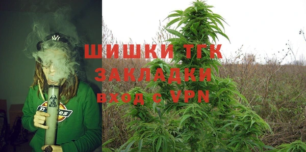 шишки Алзамай