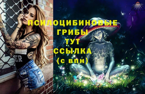 шишки Алзамай