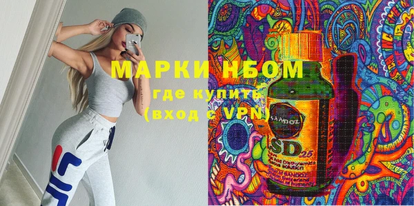 шишки Алзамай