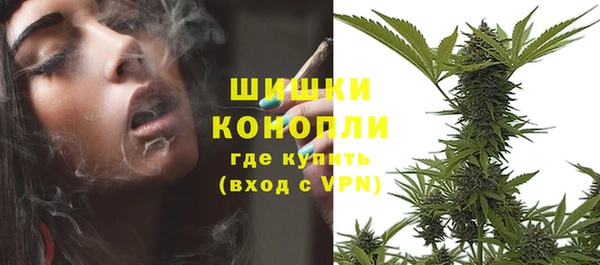 шишки Алзамай
