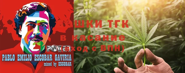шишки Алзамай
