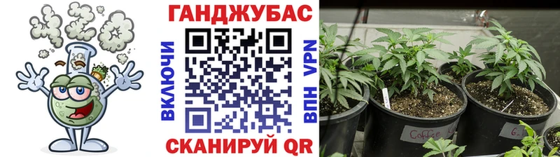 Марихуана план наркота Миньяр